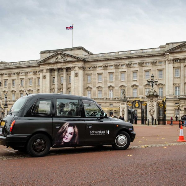 schwarzkopf_cab_006  © Licensed to simonjacobs.com. 29/11/2013 London, UK. A Scwarzkopf branded cab in front of Buckingham Palace, The Mall, London UK.Photo credit : Simon Jacobs